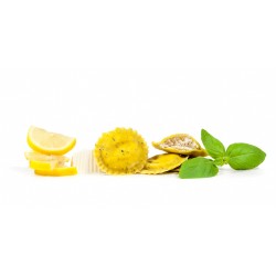 Gransole limone & basilico 16 gr. 