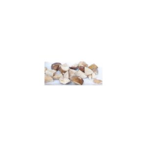 Boletus trozos congelado 1 kg.