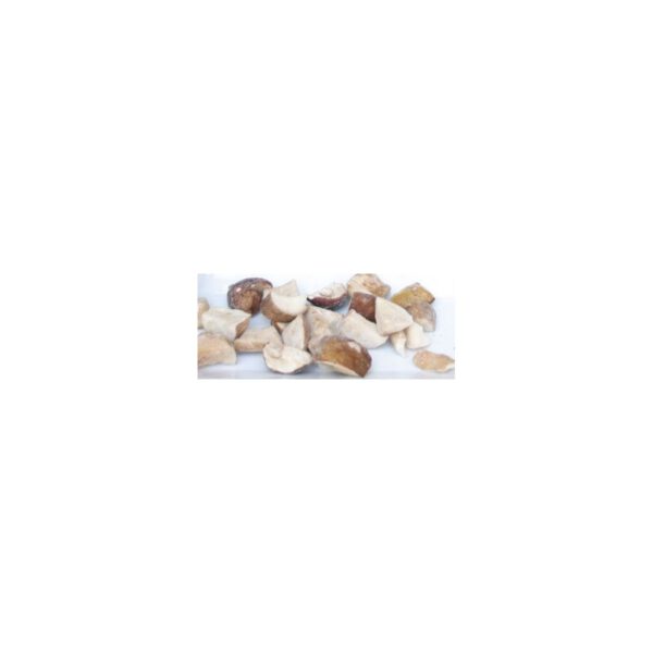 Boletus trozos congelado 1 kg.